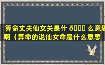 算命丈夫仙女关是什 🍁 么意思啊（算命的说仙女命是什么意思 🐳 ）